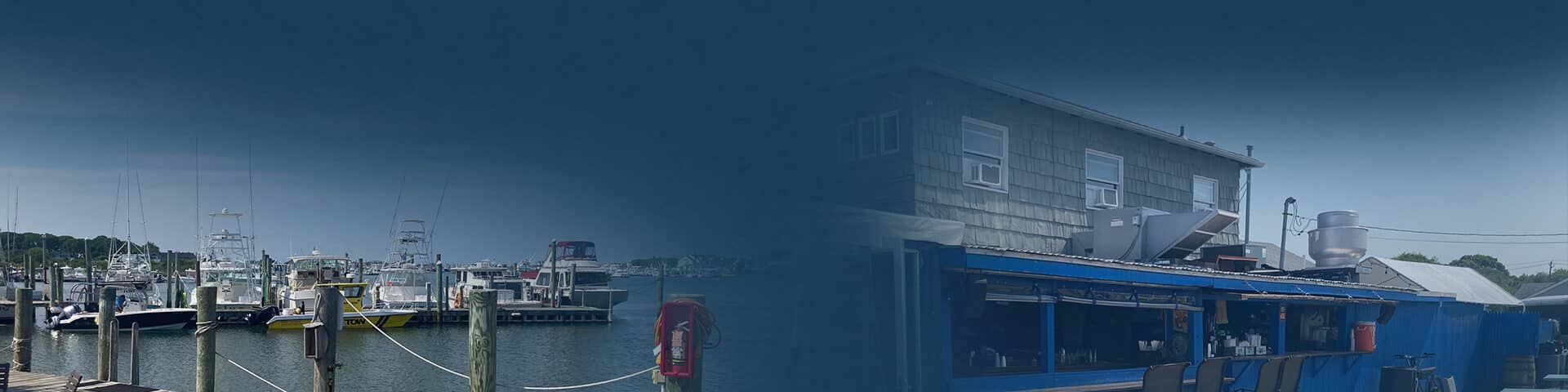 Featured image for Marina